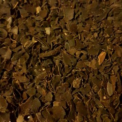 Chaluha bublinatá, Fucus vesiculosus (3)