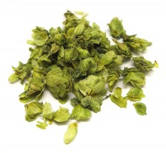 Chmel šištice 30g (Strobilus lupuli)(Žatecký), (2)