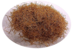 Uňa de Gato 500g (Vilcacora)(Kočičí dráp), Oro Verde